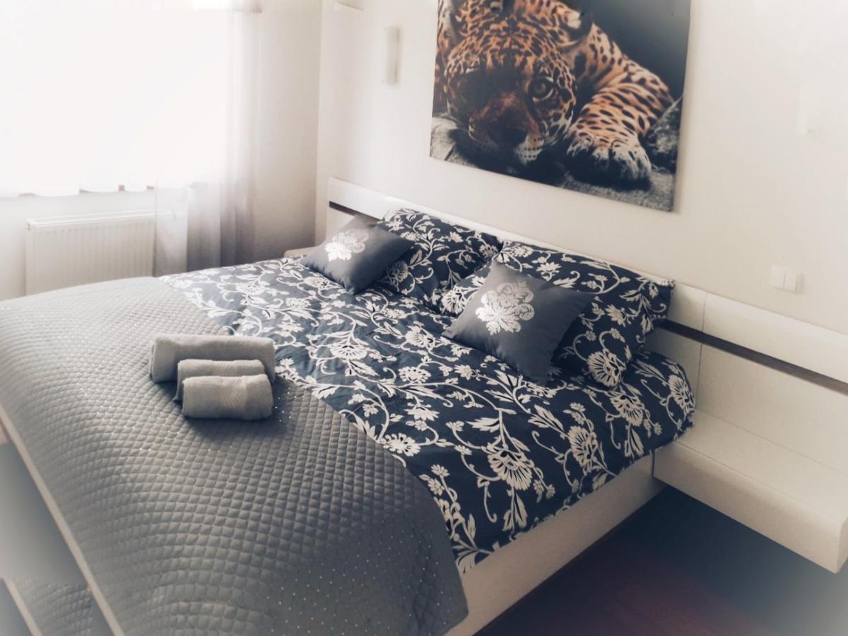Apartament Apartament Słoneczny Ełk Zewnętrze zdjęcie